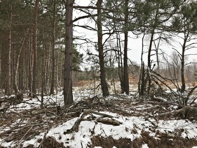 IMG_0348