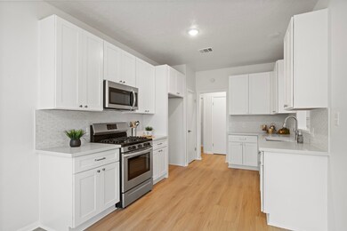 14719 Cypress Falls Dr, Cypress, TX 77429 - photo 4