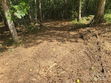 00 Bradford Park unit 10, Clyde, NC 28721 - photo 4