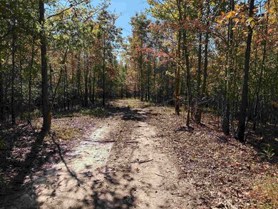 0 Bethuel Rd unit Lot 7, Unincorporated, TN 38053 - photo 6