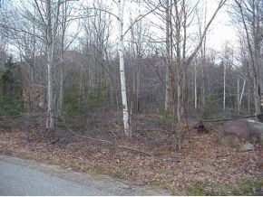 28 River Rd, Waterville Valley, NH 03215 - photo 4