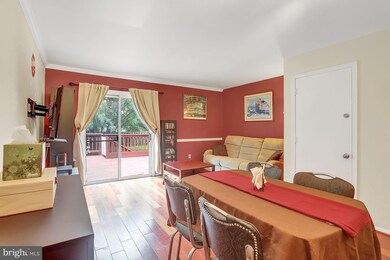 6802 Ducketts Ln, Elkridge, MD 21075 - photo 7