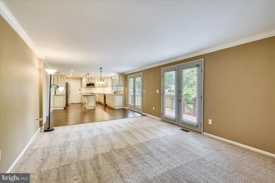 2306 Darius Ln, Reston, VA 20191 - photo 6