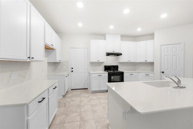 190 Jarbridge Dr, Kyle, TX 78640 - photo 4