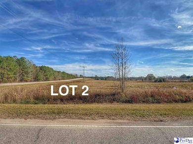 Lot 2 Catfish Church Rd, Latta, SC 29565 - photo 6
