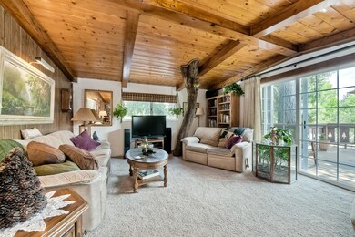 Living Room has an actual living tree growing out 