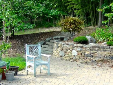 Backyard Patio