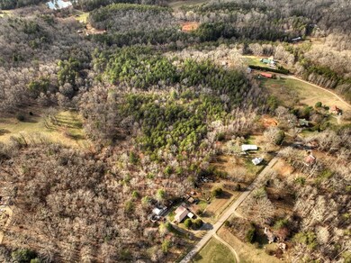 9.22 Ac Douthit Rd, Mineral Bluff, GA 30559 - photo 5