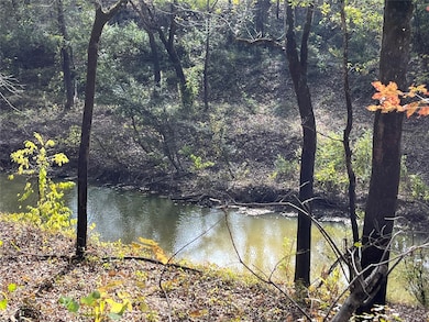 TBD State Highway 155, Winona, TX 75792 - photo 2