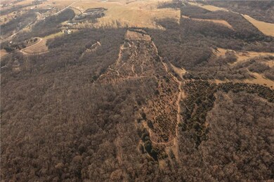 0000 N 1917 Rd, Lecompton, KS 66050 - photo 4