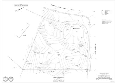 3310 Seabrook Island Rd, Johns Island, SC 29455 - photo 5