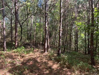 124 S Kelley St, Tallapoosa, GA 30176 - photo 2