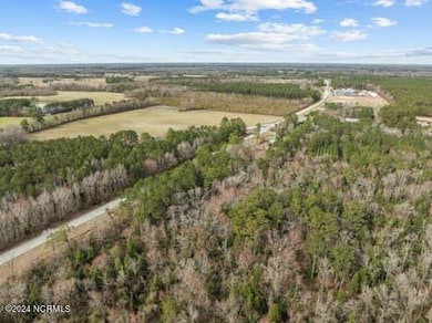 large-1a5bc06d-ee44-48b5-8b9d-8073acd4e0