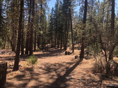 0 Kodiak Ln unit lot 500 220132728, Bonanza, OR 97623 - photo 3