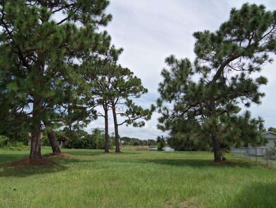 Trees in back of lot