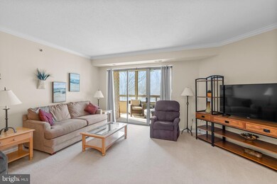 Creekside unit 112, Silver Spring, MD 20906 - photo 6