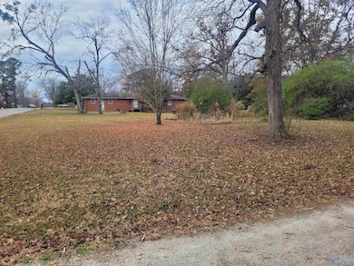 Lot 0 College Ave, New Hope, AL 35760 - photo 5