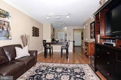 The Lafayette at Penn Quarter unit 331, Washington, DC 20004 - photo 6