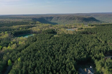 0 River Bluffs Jh 193 Dr unit 1334343, Jasper, TN 37347 - photo 6