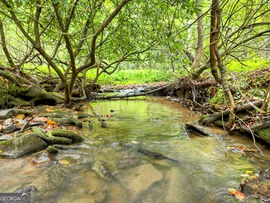 LOT 45 Synacia Dr, Mineral Bluff, GA 30559 - photo 2