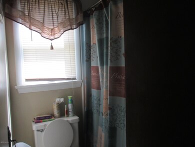 432 E Dayton St, Fremont, MI 49412 - photo 7