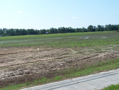 00 Highway 15 and 301, Santee, SC 29142 - photo 6