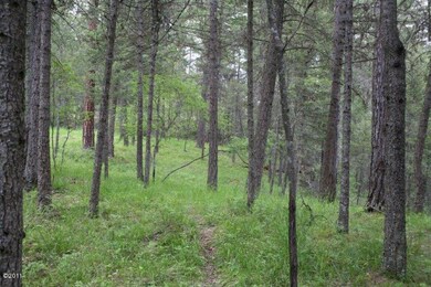 Wooded Area