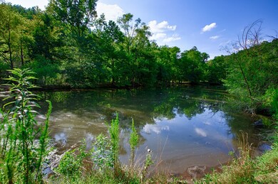 1 Shoal Creek Rd, Goodspring, TN 38460 - photo 2