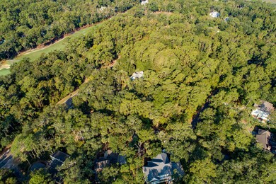 3205&3215 Pine Needle Ln, Seabrook Island, SC 29455 - photo 7