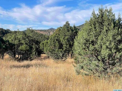 xx Himalaya Ct, Silver City, NM 88061 - photo 3