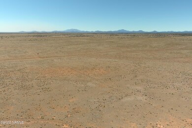 3750 S Prickly Pear Wash, Williams, AZ 86046 - photo 4