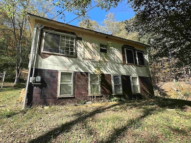 130 Otter Ln, Gassaway, WV 26624 - photo 3