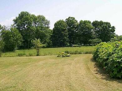 Yard/Garden.