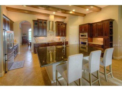 5103 Longspur Ct, Lithia, FL 33547 - photo 6