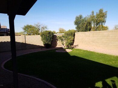 Backyard 2