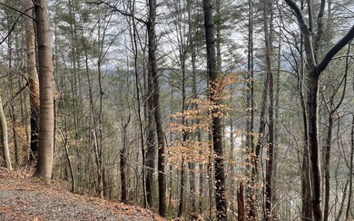 Additional View