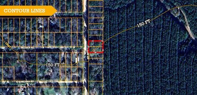 June Dr, Saratoga, TX 77376 - photo 6