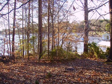 Lake View from back of the lot.