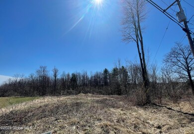 297 Wilton Gansevoort Rd, Gansevoort, NY 12831 - photo 7