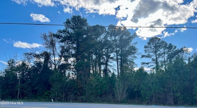 103 E Kelliwood, Goldsboro, NC 27534 - photo 5