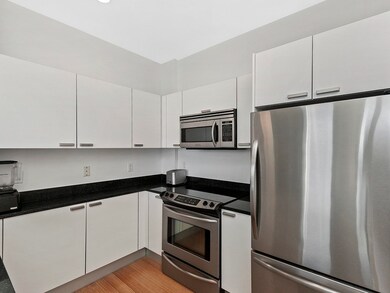 Sierra & Tango Condominiums unit T902, Cambridge, MA 02141 - photo 6