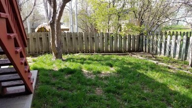 07_Backyard