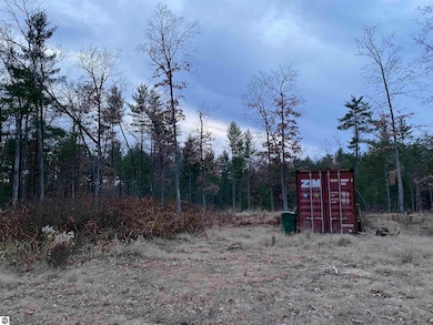 00 S Emma Ave, Pleasant Plains Township, MI 49304 - photo 3