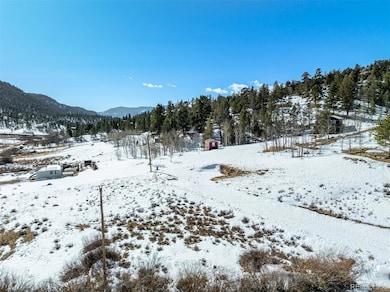 60 Cherokee Path unit 90, Lake George, CO 80827 - photo 5