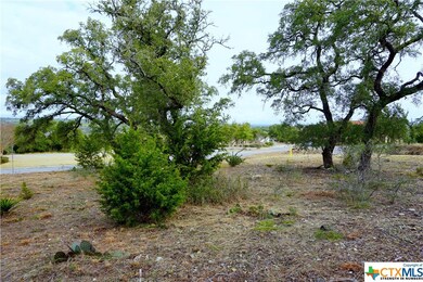 606 Angelica Vista, Canyon Lake, TX 78133 - photo 2