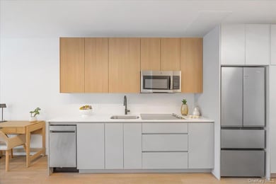 8 Chester Ave unit 309, White Plains, NY 10601 - photo 2