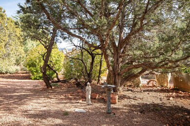 Mature Trees