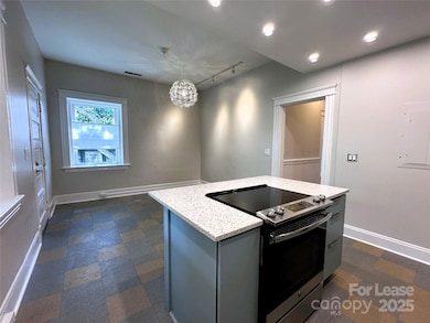 132 Biltmore Ave unit 132A, Asheville, NC 28801 - photo 6