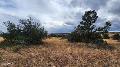 8381 W Shingle Oak Ln, Williams, AZ 86046 - photo 5