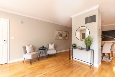 2 St Paul St unit 201, Brookline, MA 02446 - photo 7